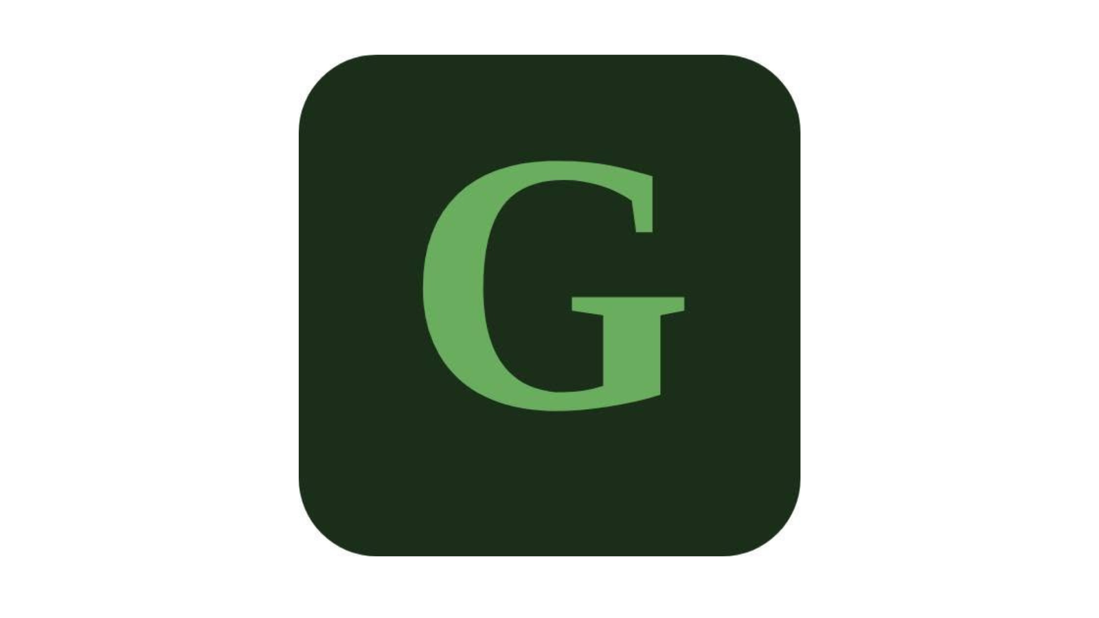 Gaučový investor